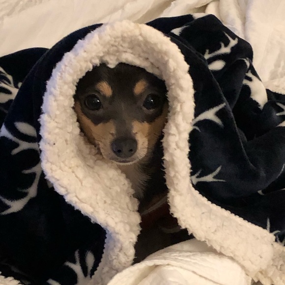 Meet your Posher, Stacy - Picture 4 of 6